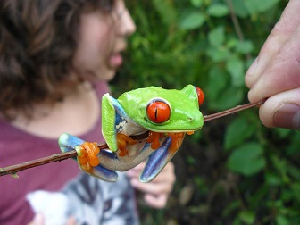 child holding tree frog in costa rica