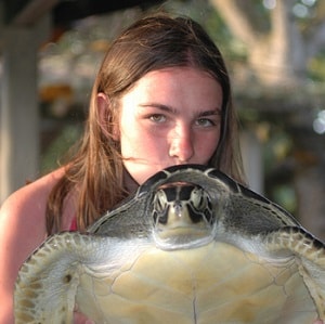 volunteer with costa rica sea turtles 