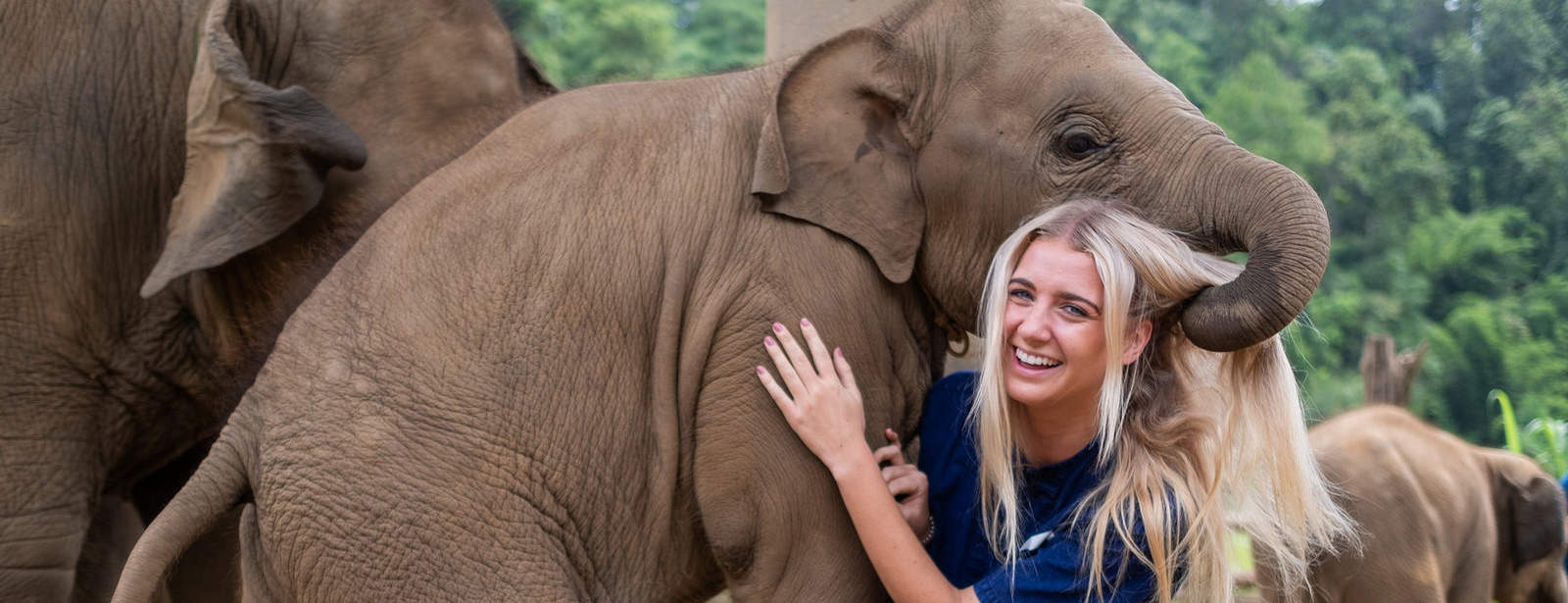 Thailand elephant volunteer