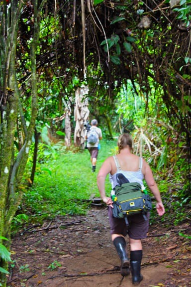 Hiking in Corcovado National Park, Costa Rica