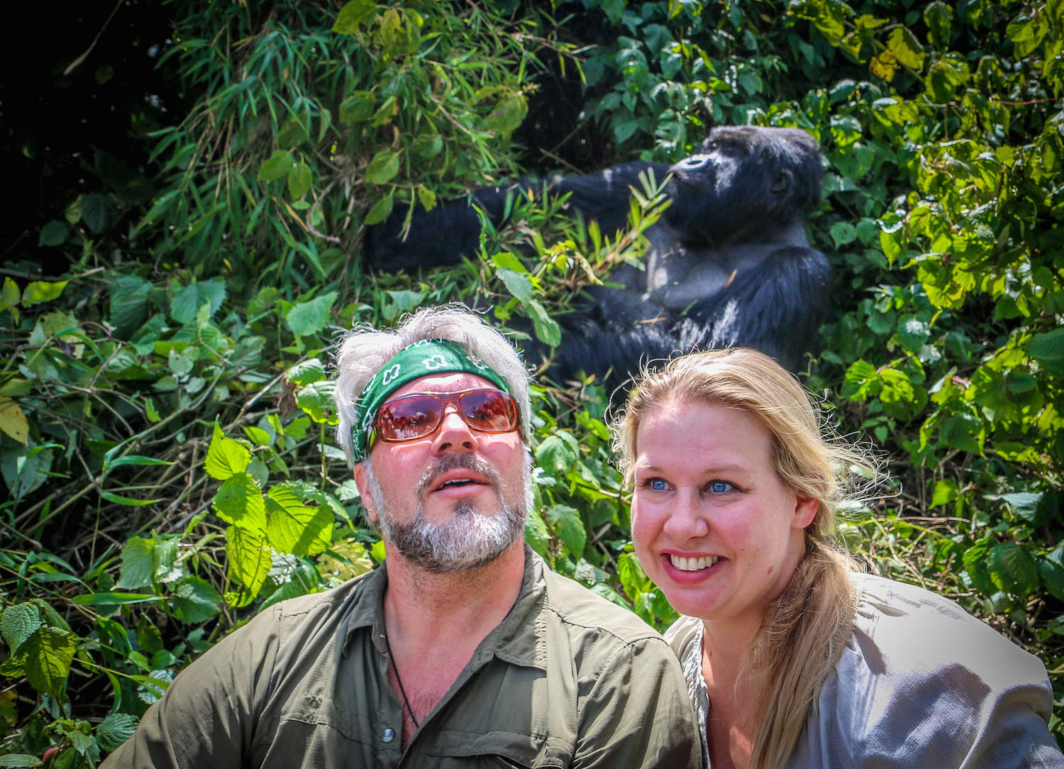 Wildlife Encounters: Gorilla Trekking in Rwanda