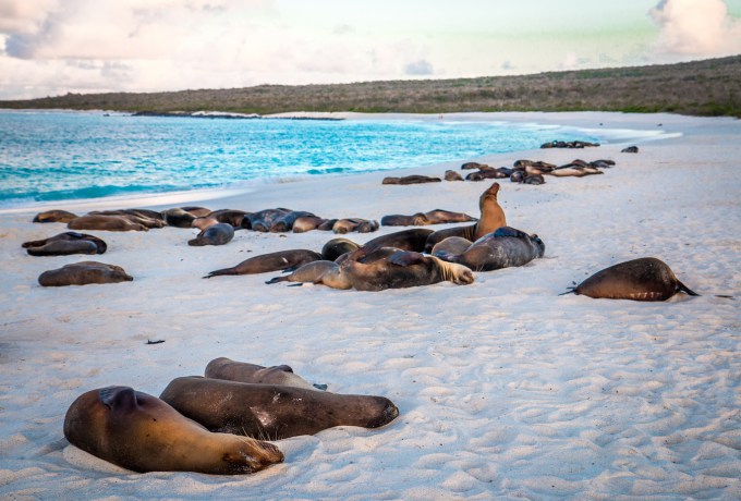 Top 10 National Parks- Galapagos Islands National Park