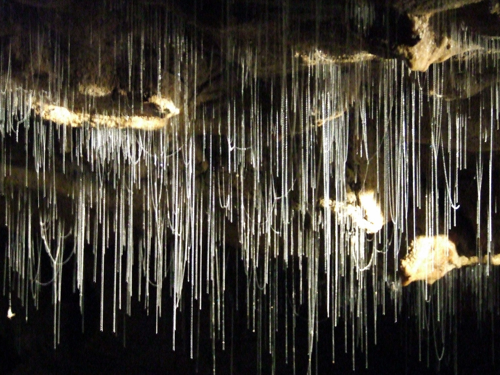 Glow Worm Cave by Tim Parkinson via CC