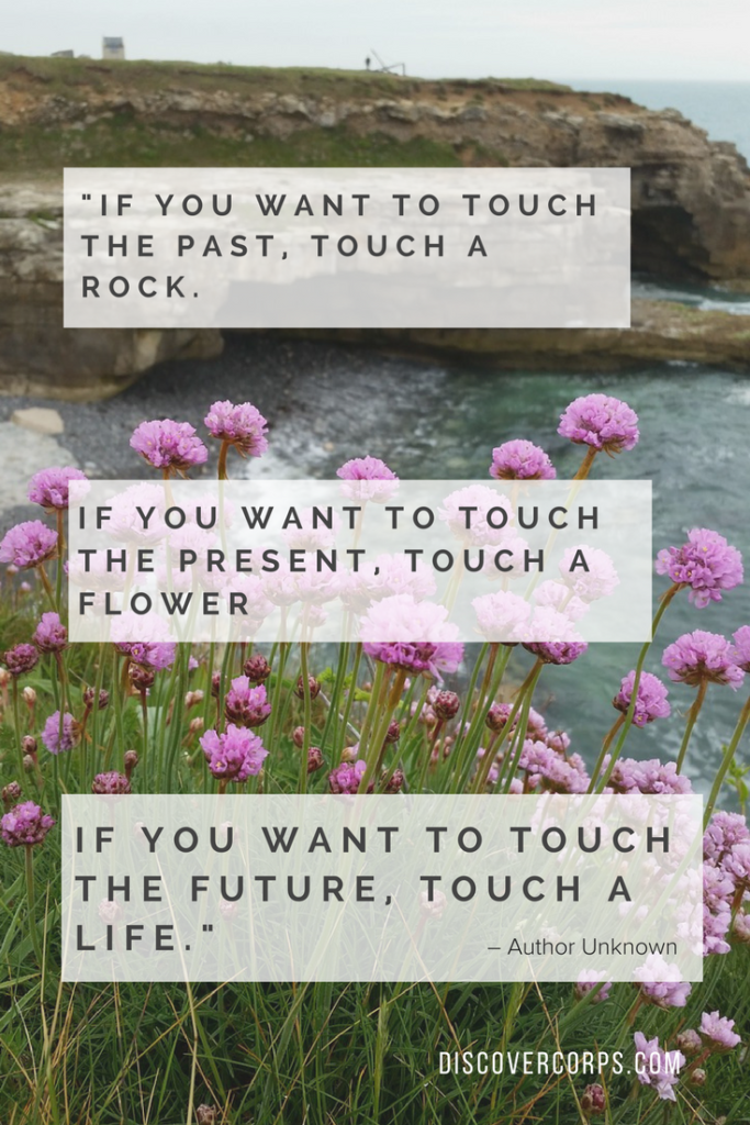 Quotes About Volunteering -If you want to touch the past, touch a rock. If you want to touch the present, touch a flower. If you want to touch the future, touch a life.-