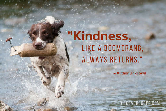 Quotes About Volunteering -Kindness, like a boomerang, always returns.