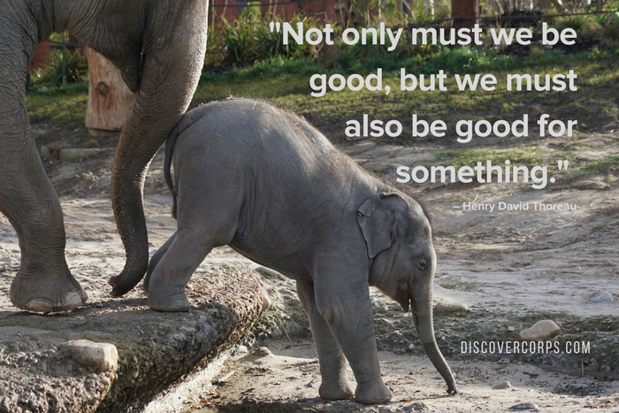 Quotes About Volunteering -Not only must we be good, but we must also be good for something.-