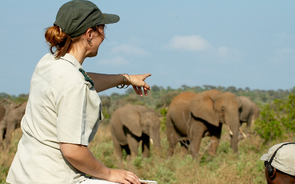 Kenya - Safari & Conservation – Volunteer Vacations | Discover Corps