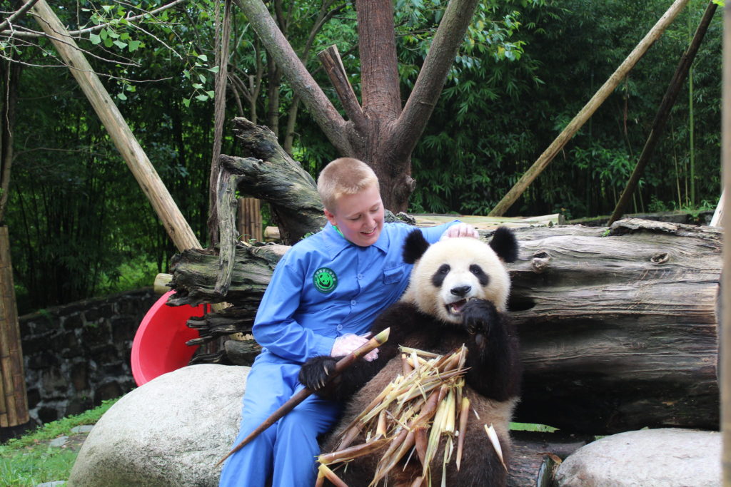 Panda Encounters in China